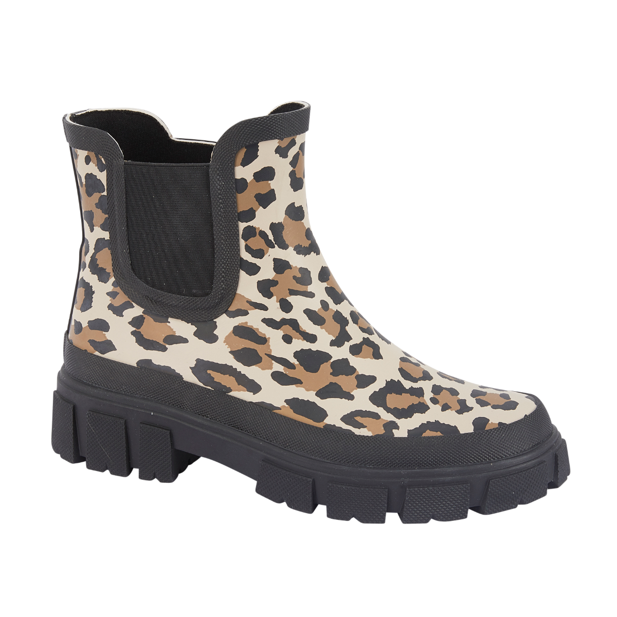 Kenya Leopard