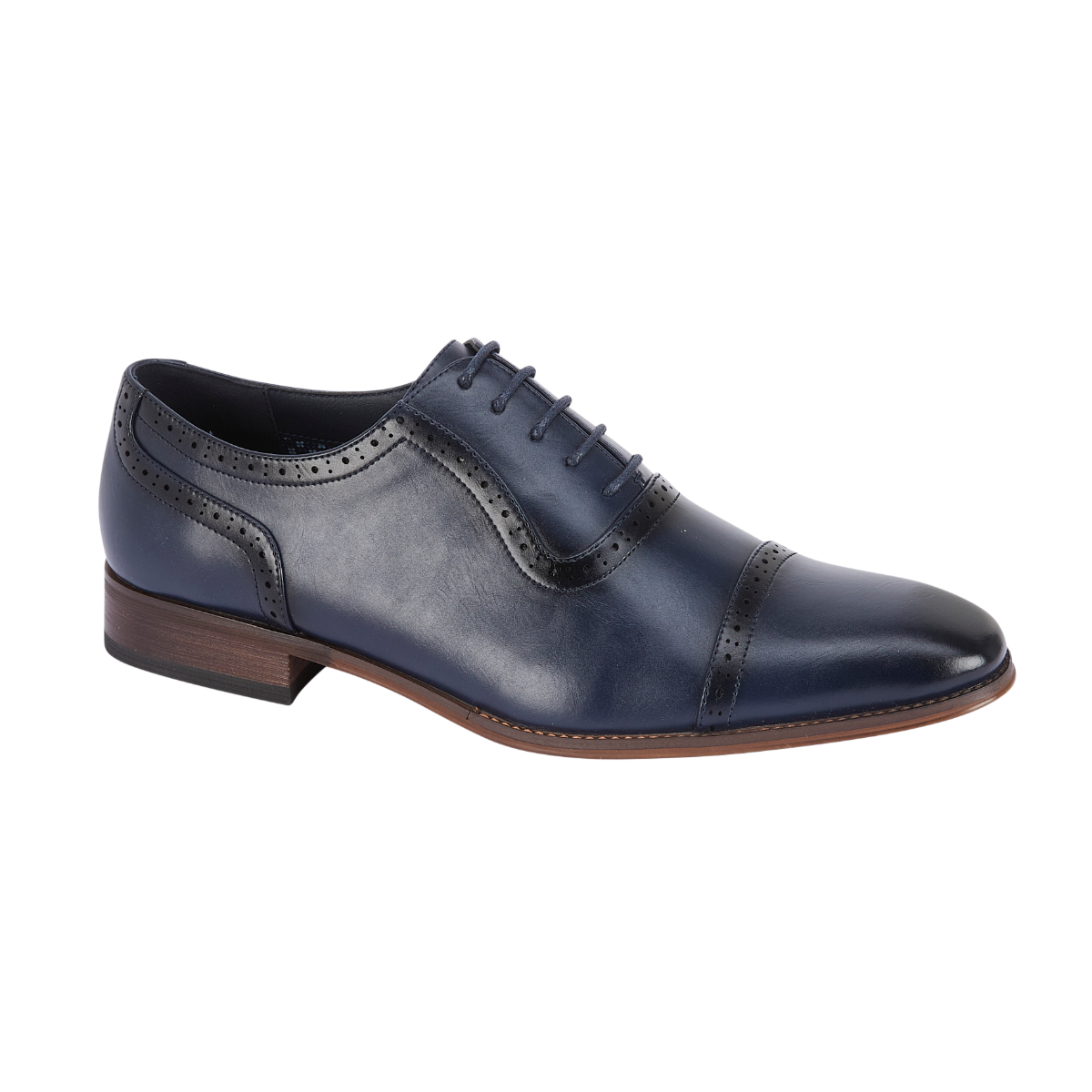 Lorenzo Navy