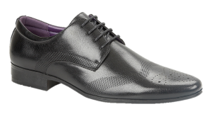 Crompton Black 7-12